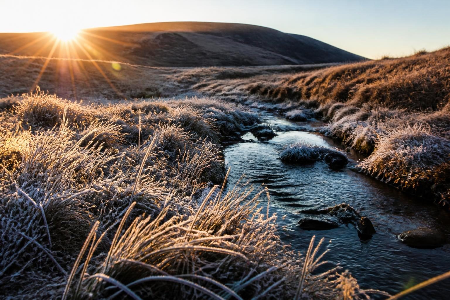 Frosted grass beside a small stream at sunrise