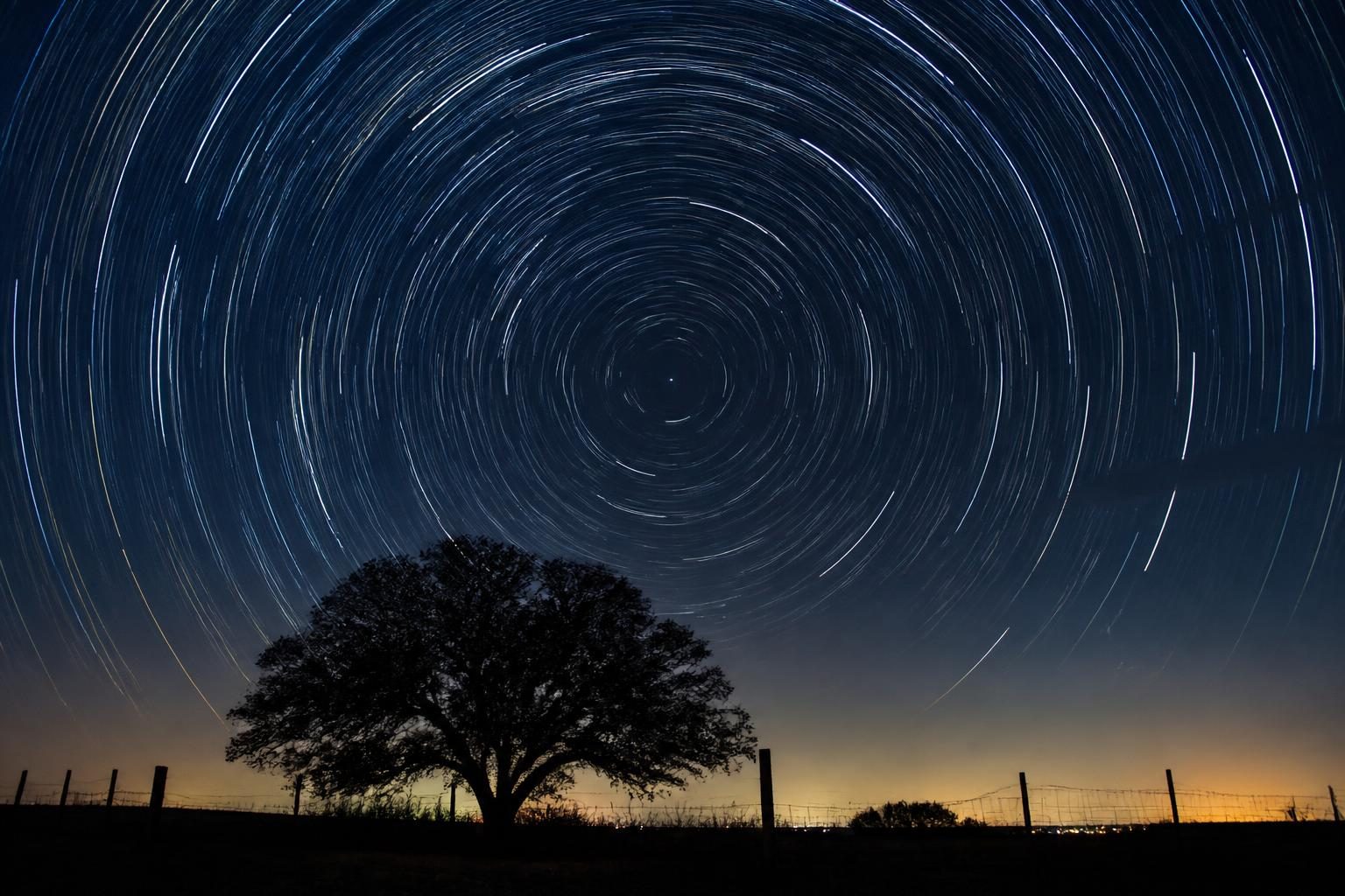 Circular star trails above a live oak in Texas